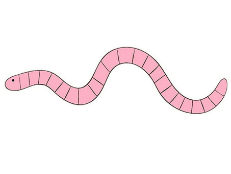 Earthworm, JPG and PNG Earthworm, earthworm, insect, fishing feed, JPG and PNG
