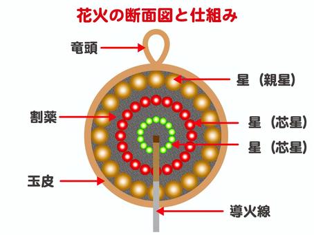 	花火玉の断面図の図解説明イラスト素材2 花火玉,断面図,玉,花火,火薬,球体,竜頭,割薬,玉皮,星のイラスト素材
