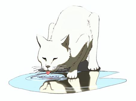 炎天・猫 炎天下,猫,陽射し,猛暑,酷暑,渇き,水,水溜まり,熱,疲弊のイラスト素材