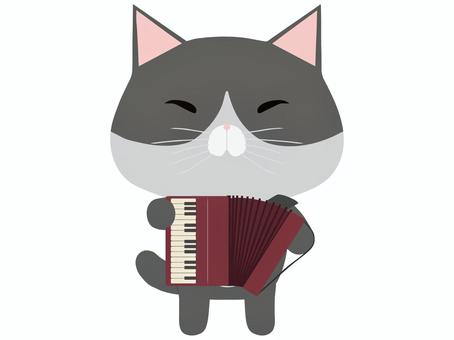 アコーディオンを演奏するはちわれ猫 アコーディオン,猫,はちわれ,動物,かわいい,楽器のイラスト素材