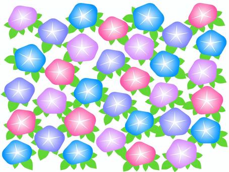 アサガオの花背景 アサガオの花背景 アサガオ,花,植物,風物詩,夏,背景,葉,ランダム,紫,かわいいのイラスト素材