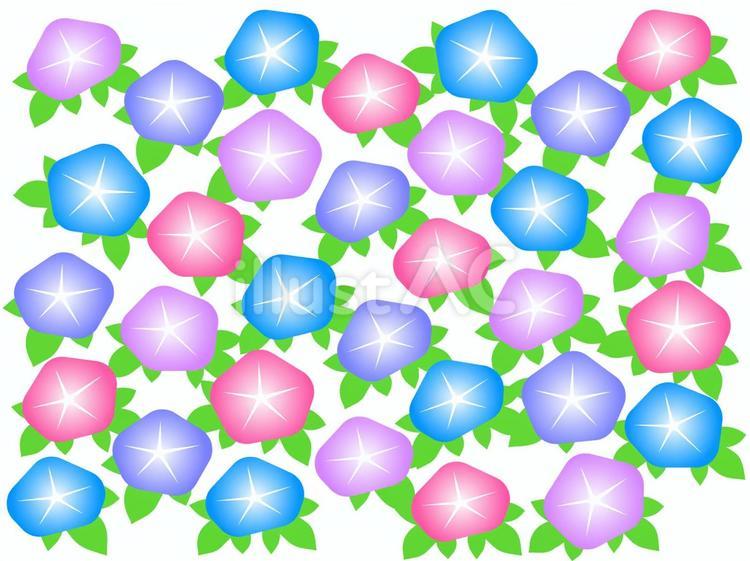 アサガオの花背景 アサガオ,花,植物のイラスト素材