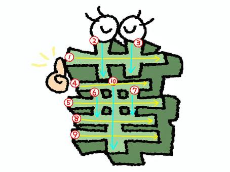 華　漢字　書き順あり 華,フォント,漢字,立体,文字絵,目,書き順,矢印,10画,可愛いのイラスト素材