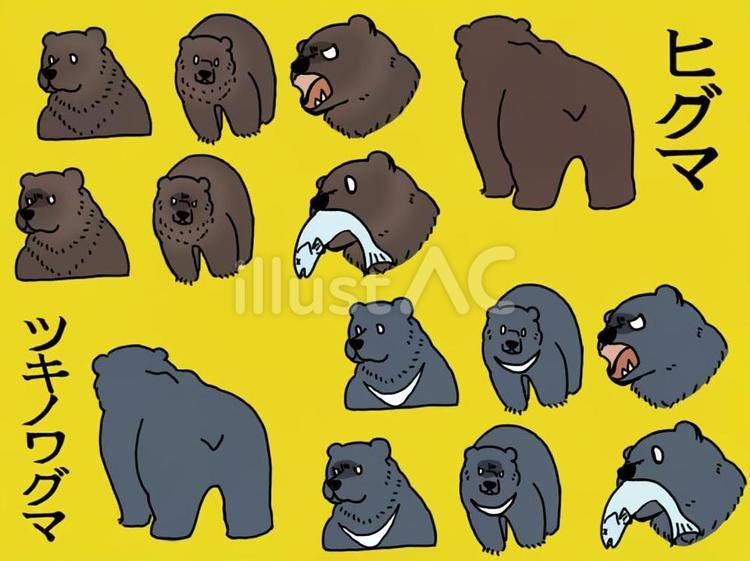 黄色背景のヒグマとツキノワグマのセット クマ,黄色,セットのイラスト素材
