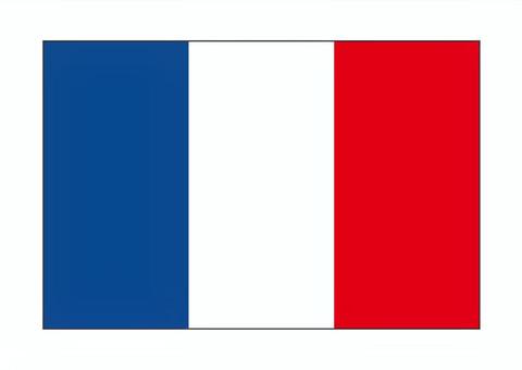 フランス国旗 フランス国旗,フランス,国旗,旗,トリコロール,フレンチ,フランス語のイラスト素材