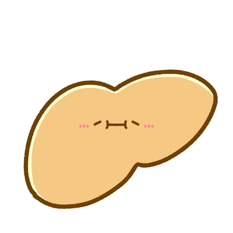 ゆるかわいい肝臓•脂肪肝 肝臓,臓器,脂肪肝,悪い,医療,医学,シンプル,かわいい,ゆるい,ワンポイントのイラスト素材