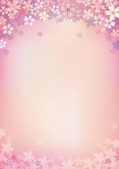 Illustration, cherry blossoms, petal, background, 