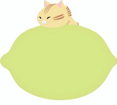 レモン_猫_ちゃとら