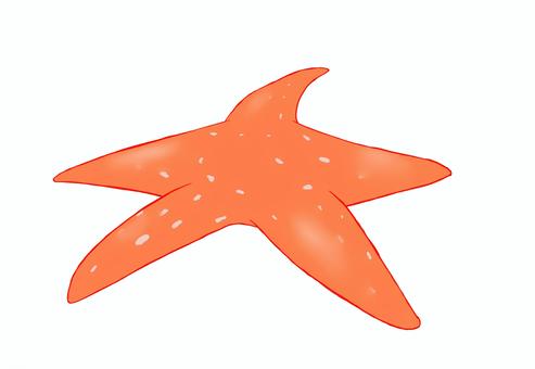 ヒトデ ヒトデ,海星,海の生き物,海産動物,棘皮動物,海の星,海のイラスト素材