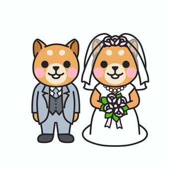 イヌの新郎新婦　結婚式のご案内 結婚式,セレモニー,ブライダル,披露宴,花嫁,花婿,カップル,ペア,新郎,新婦のイラスト素材