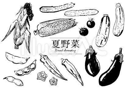 夏野菜1