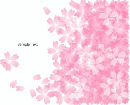 Illustration, cherry blossoms, spring, april, JPG, PNG and AI