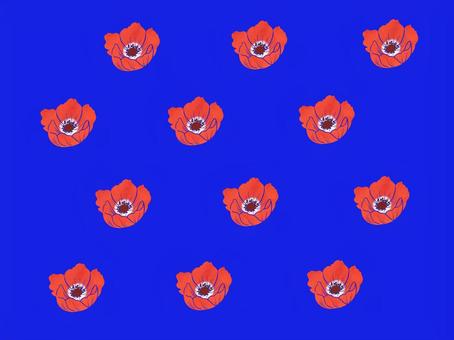 赤いアネモネと青色の背景 アネモネ,春,花,植物,シンプル,かわいい,背景,赤,青色,anemoneのイラスト素材