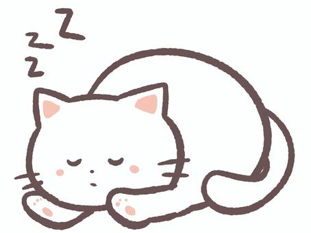 昼寝する可愛い動物の白猫 昼寝,寝る,睡眠,眠い,猫,動物,生き物,白猫,哺乳類,かわいいのイラスト素材
