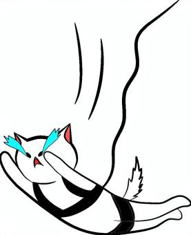 にゃんこバンジージャンプで号泣 号泣,猫,動物,バンジージャンプ,アクティビティ,エクストリームスポーツ,スリル,アトラクションのイラスト素材