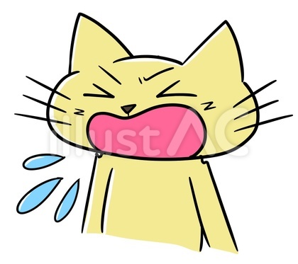 くしゃみをする猫