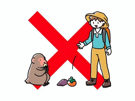 猿に餌付けする人バツ付き 人,登山客,男性,レジャー,猿,餌付け,食べる,無謀,柿,バツのイラスト素材