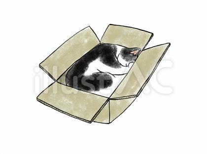 ねこ 段ボール箱で寝る 4 ハチワレ