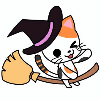 ハロウィンの仮装で魔女になる三毛猫 猫,動物,ネコ,三毛猫,アイキャッチ,どうぶつ,キャラクター,デフォルメ,かわいい,イラストのイラスト素材