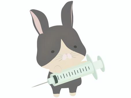 Syringe _ rabbit, , JPG, PNG and AI