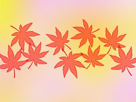 Illustration, autumn leaves, maple, leaf, 