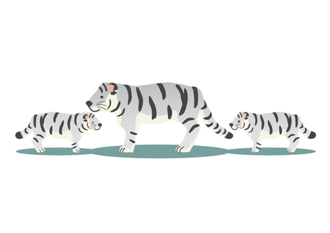 Tiger parent and child single item white tiger, tiger, parenting, yin, JPG, PNG and AI