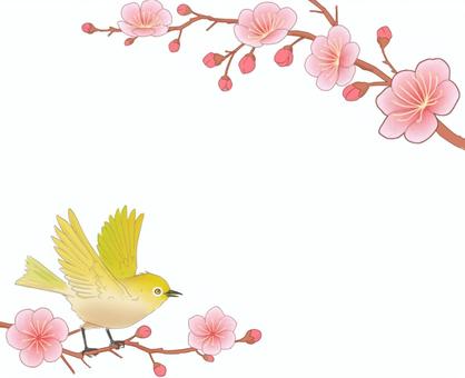 梅の花とメジロ背景なし 梅,鳥,メジロ,花,桃色,枝,つぼみ,植物,羽ばたく,上下のイラスト素材