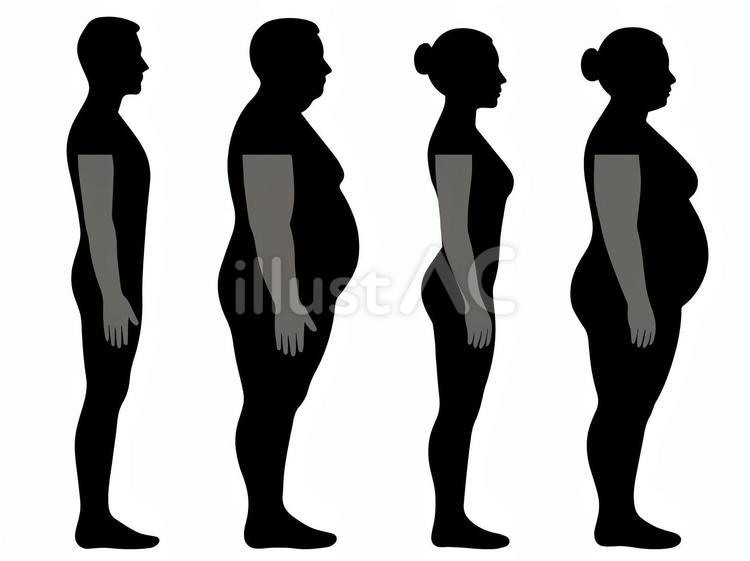 男女の理想体型vs肥満体型の比較図Ａ 男,男性,女のイラスト素材
