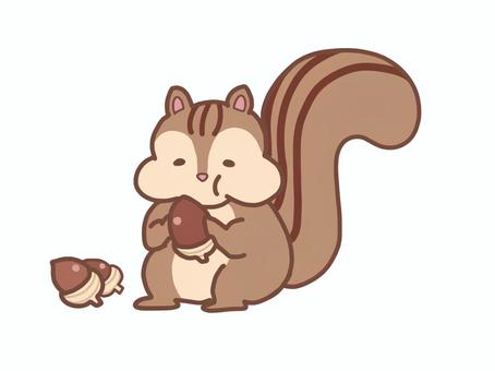 ドングリを食べているリスのイラスト ドングリを食べているリスのイラスト リス,ドングリ,食べる,木の実,果実,動物,秋,かわいい,ゆるい,ゆるかわのイラスト素材