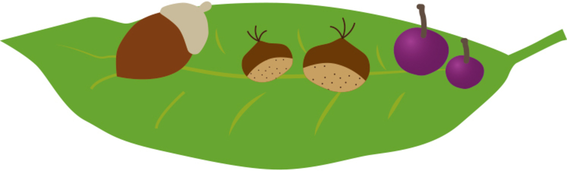 Illustration, folhas, bolota, castanha, 