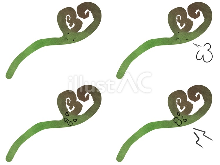 野菜のキャラの表情セット　怒　わらび わらび,山菜,野菜のイラスト素材