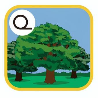 広葉樹林 社会,教材,広葉樹林,ずっしり,太い,森林,木,森,日本,風景のイラスト素材