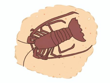 伊勢海老せんべい 伊勢海老,せんべい,おやつ,食べ物,高級,pop調,手描き,挿絵,ワンポイント,素材のイラスト素材