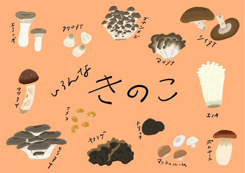 いろんなきのこ＿線なし きのこ,線なし,食育,手書き,手作り,ゆるい,シンプル,オシャレ,手描き,四季のイラスト素材