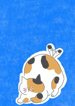 ハンター三毛猫ちゃん ハンター三毛猫ちゃん かわいい,ハンター,狙う,ふりふり,しっぽ,ねこ,三毛猫,どうぶつ,いきもの,ペットのイラスト素材