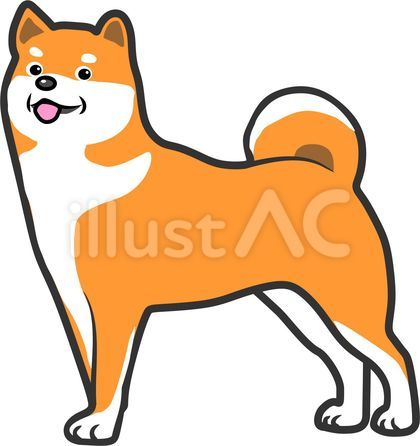 柴犬のイラスト