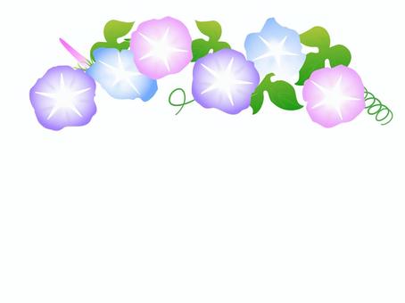 あさがお あさがお,花,植物,つぼみ,夏,夏休み,ハガキ,朝顔,連絡,アサガオのイラスト素材