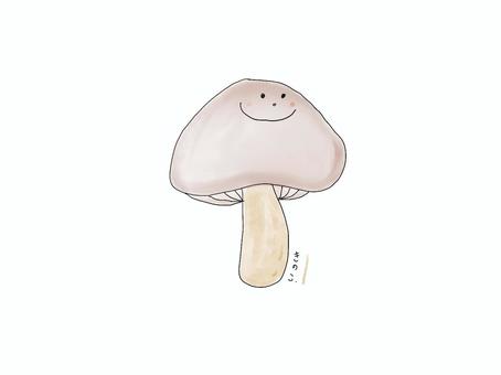 きのこ きのこ,椎茸,しめじ,秋,味覚,菌類,食材,健康,ヘルシー,水彩のイラスト素材
