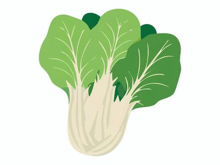 野菜【チンゲン菜】
