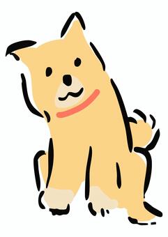 首をかしげる柴犬 柴犬,首,犬,かわいい,わんこ,ペット,動物,シンプル,首輪,手描き風のイラスト素材