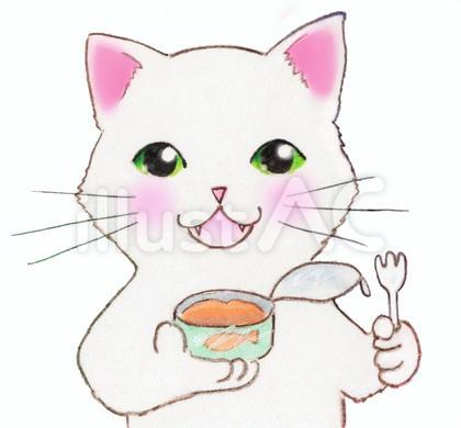 缶詰のキャットフードを食べている猫