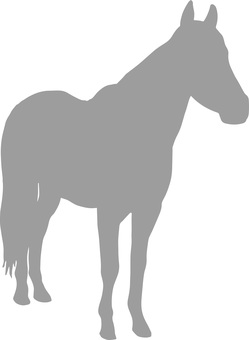 馬の立ち姿シルエットグレー 馬,うま,動物,サラブレット,競馬,乗馬,午年,年賀状,競走馬,種馬のイラスト素材
