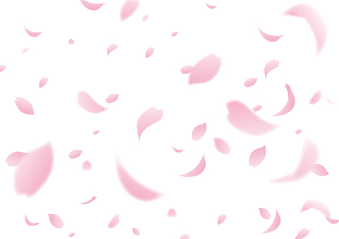 舞い落ちる桜の花びらの背景素材