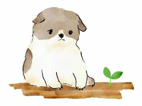 双葉とわんこ(水彩・絵本風) 双葉とわんこ(水彩・絵本風) 子犬,かわいい,双葉,手描き,手書き,ベクター,水彩,絵本風,わんこ,ほっこりのイラスト素材