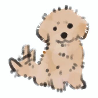 座ってこちらを見るの子犬 犬,子犬,わんこ,ペット,動物,トイプードル,座る,待つ,見つめる,可愛いのイラスト素材