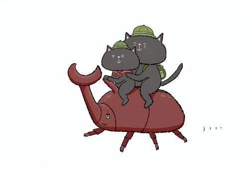 Illustration, vacances d'été, exploration, l'été, 