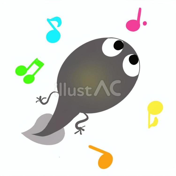 おたまじゃくしはカエルの子　音符　手描き おたまじゃくし,雨,梅雨のイラスト素材