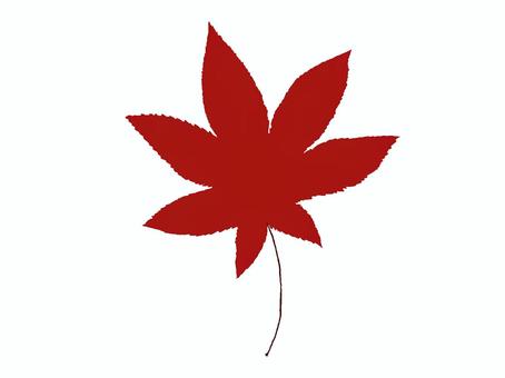 紅葉 もみじ,赤,葉っぱ,秋,1枚のイラスト素材