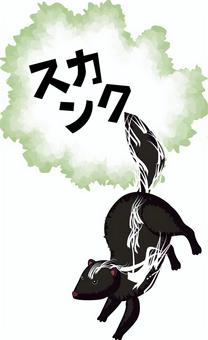 スカンク  スカンク  スカンク,ネコ目,スカンク科,哺乳類,臭い,威嚇,攻撃,カタカナのイラスト素材