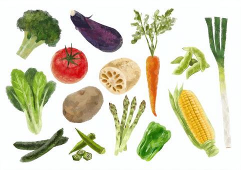 Illustration, broccoli, tomato, eggplant, 
